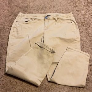 Lane Bryant Skinny Khakis